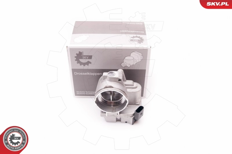 Throttle Body